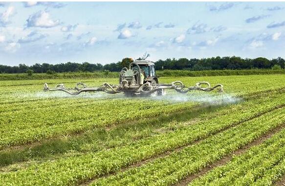 <a href=http://m.vms4030.com/mcy/ target=_blank class=infotextkey>木醋液</a>